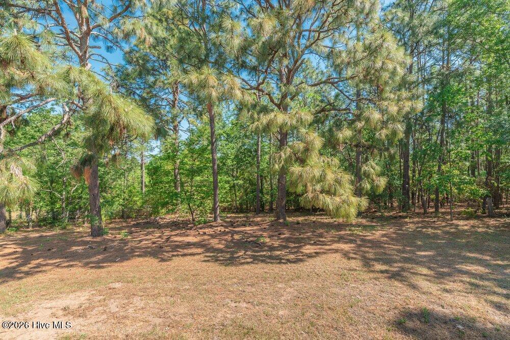 296 Whaley Pond Road Graniteville, SC 29829 - Photo 41 of 51 041_296_whaley_pond_rd_041_154