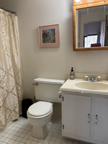 a bathroom with a sink and a toilet