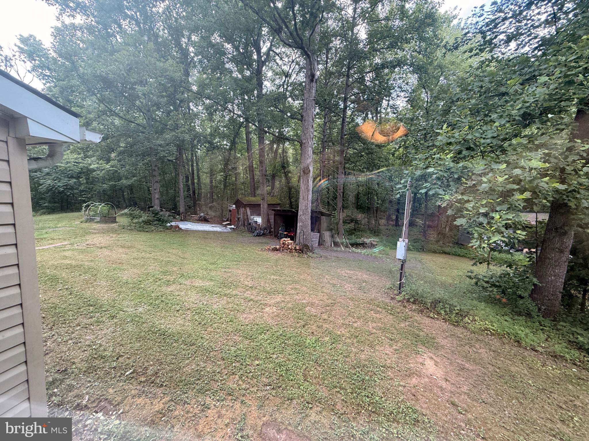 17400 Hudson Road Culpeper, VA 22701 - Photo 14 of 23 Serene wooded retreat awaits you.