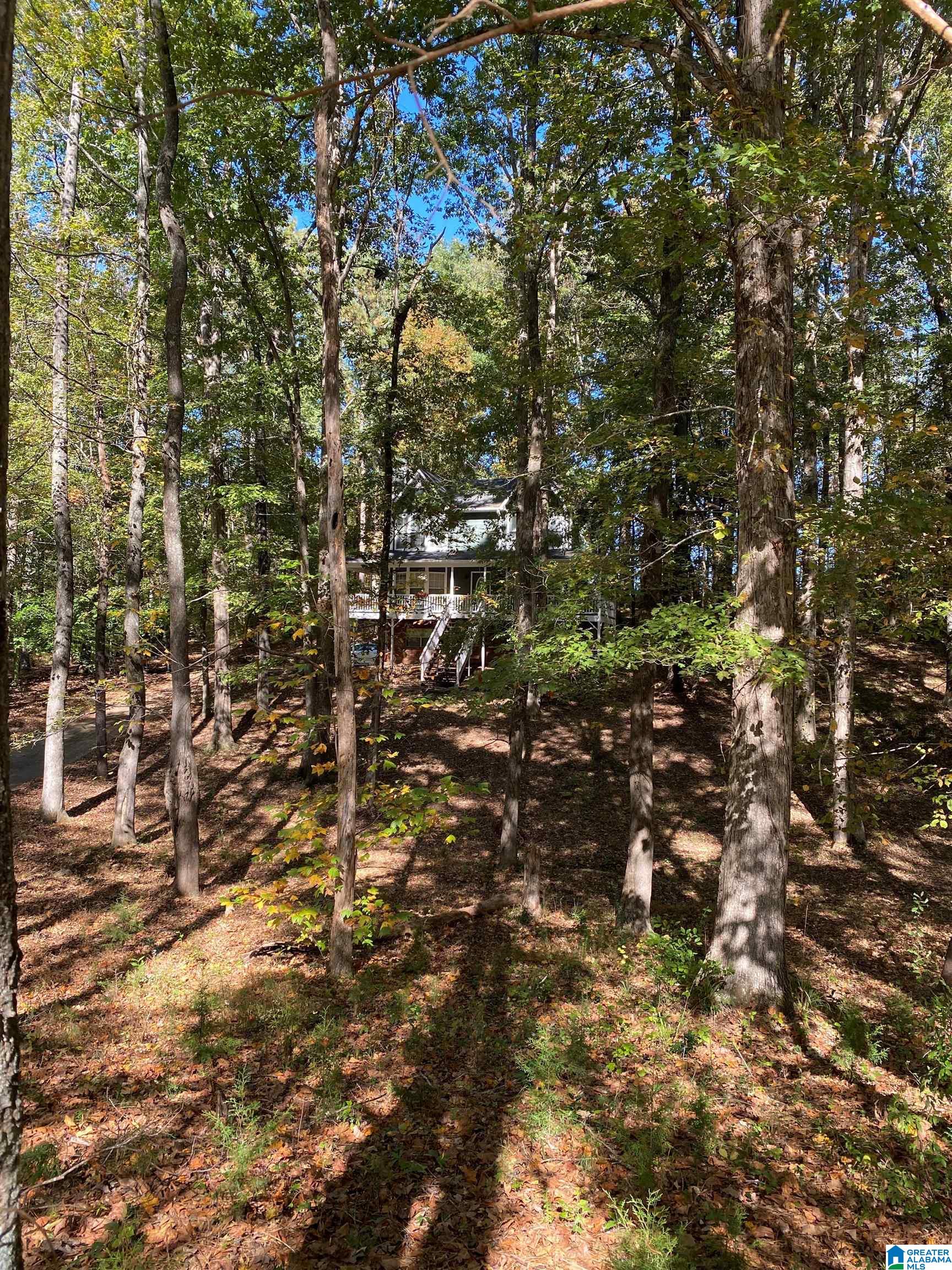 220 Lee Street Springville, AL 35146 - Photo 3 of 31
