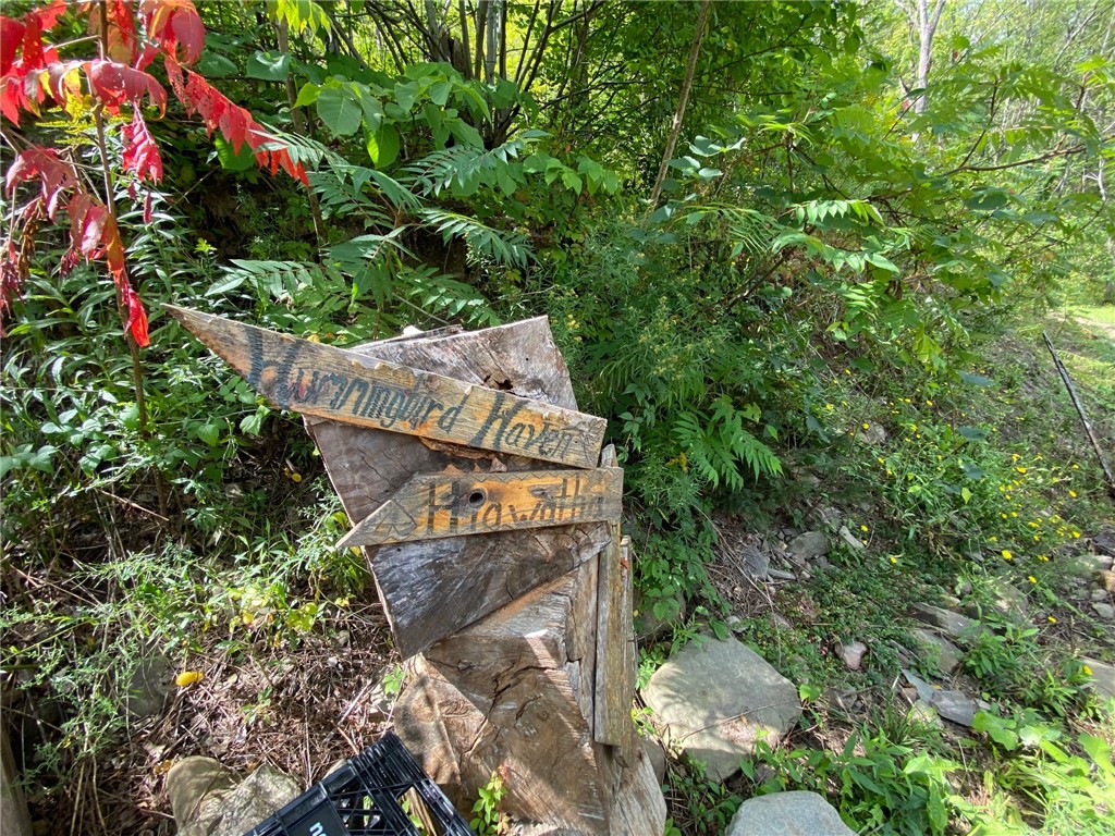 6340 West Lake Road Canadice, NY 14471 - Photo 40 of 44