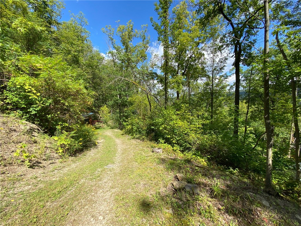 6340 West Lake Road Canadice, NY 14471 - Photo 41 of 44