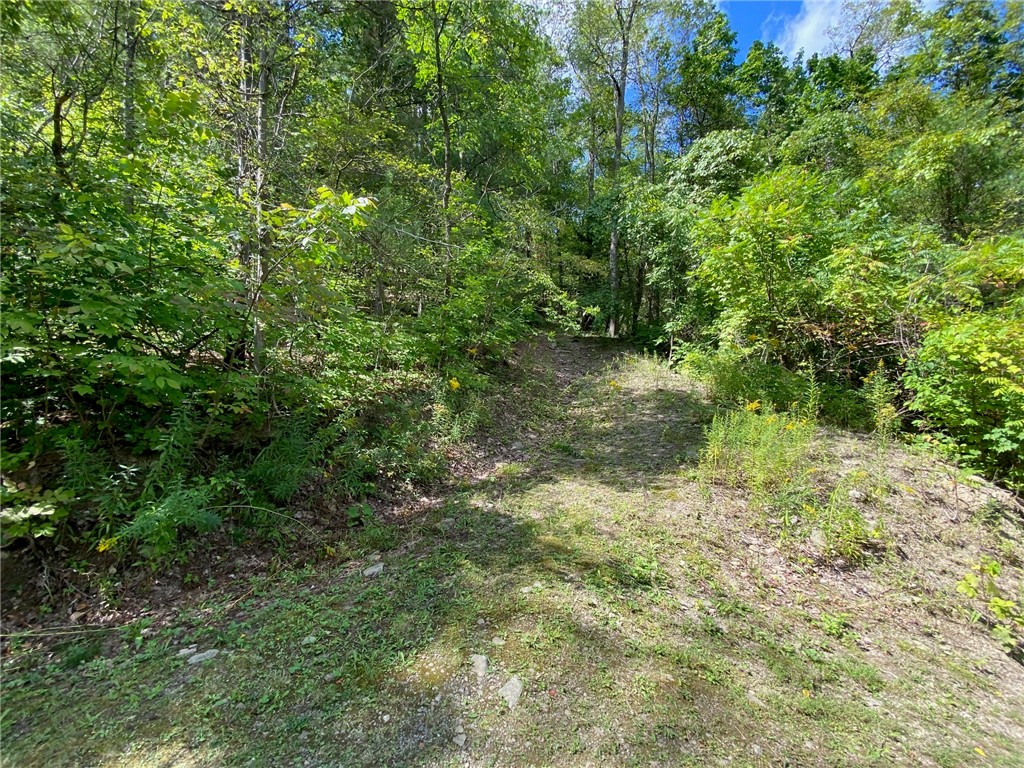 6340 West Lake Road Canadice, NY 14471 - Photo 42 of 44