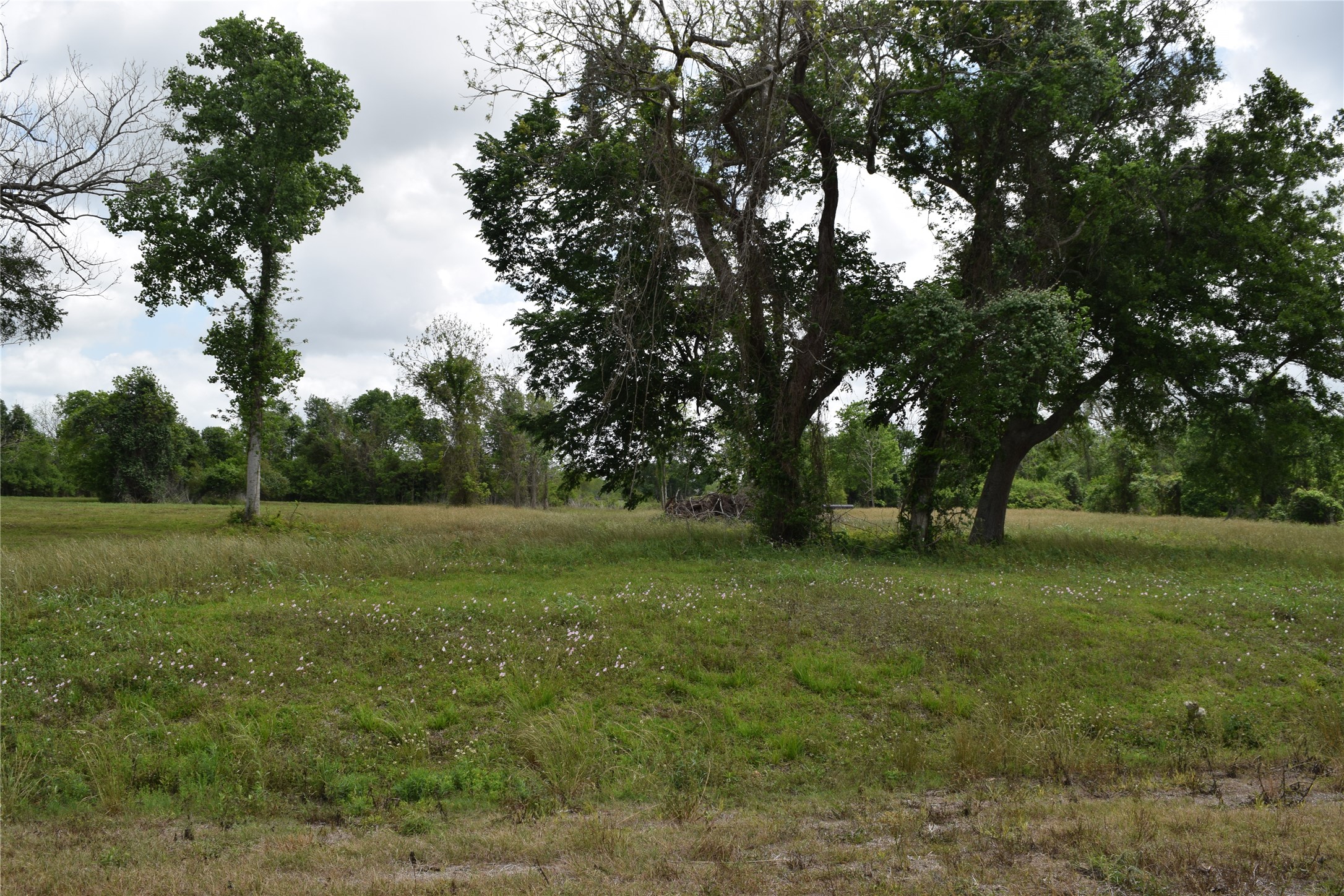 22819 Pittman Drive Angleton, TX 77515 - Photo 12 of 13 a view of field with trees in the background