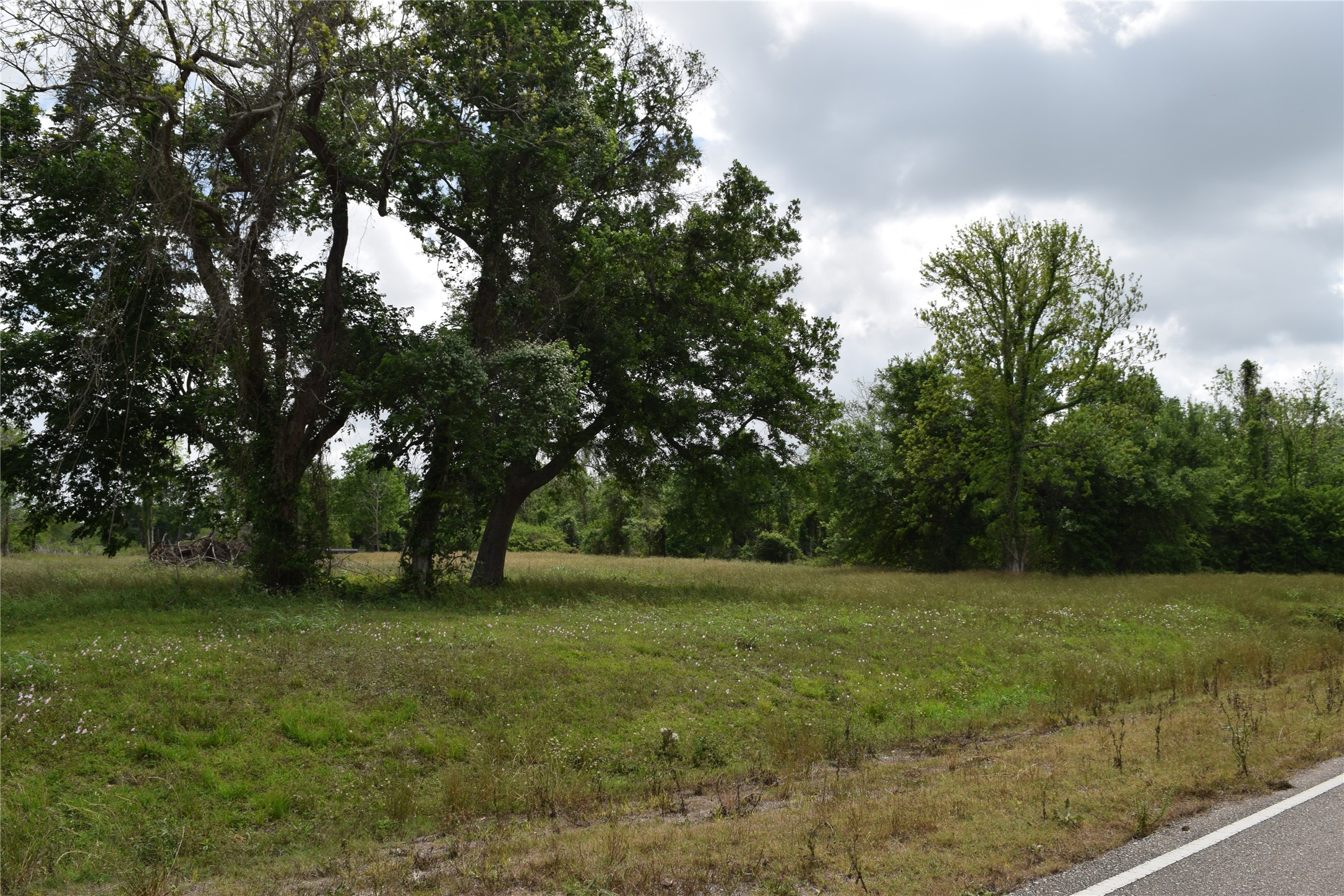 22819 Pittman Drive Angleton, TX 77515 - Photo 13 of 13 a view of a field with trees in the background