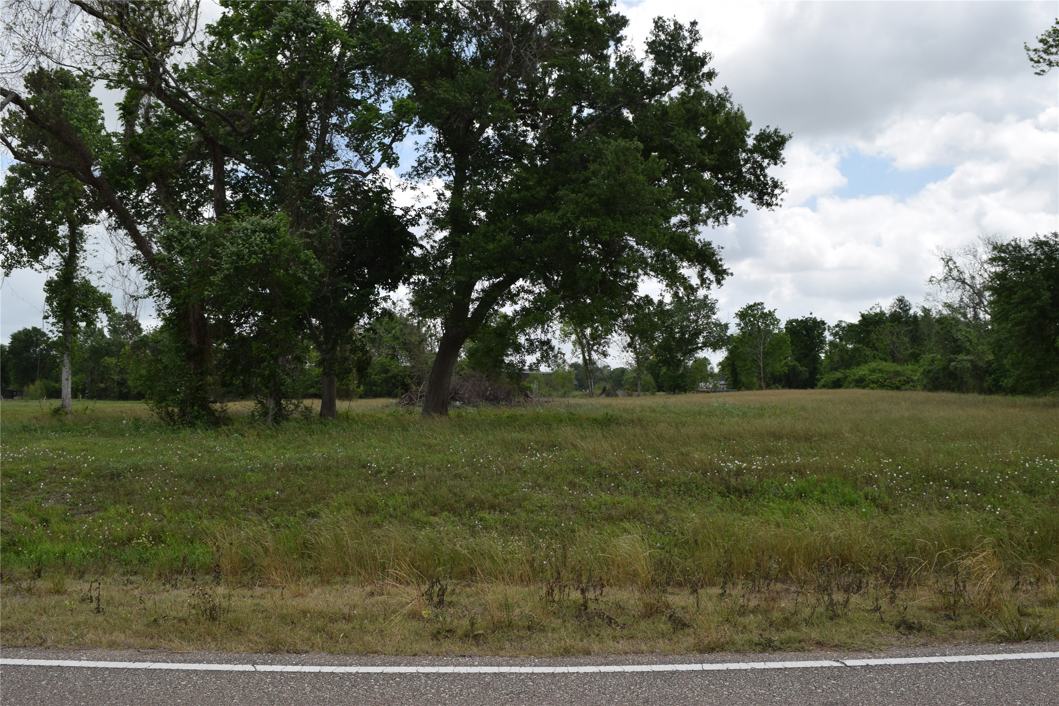 22819 Pittman Drive Angleton, TX 77515 - Photo 7 of 13 a view of outdoor space