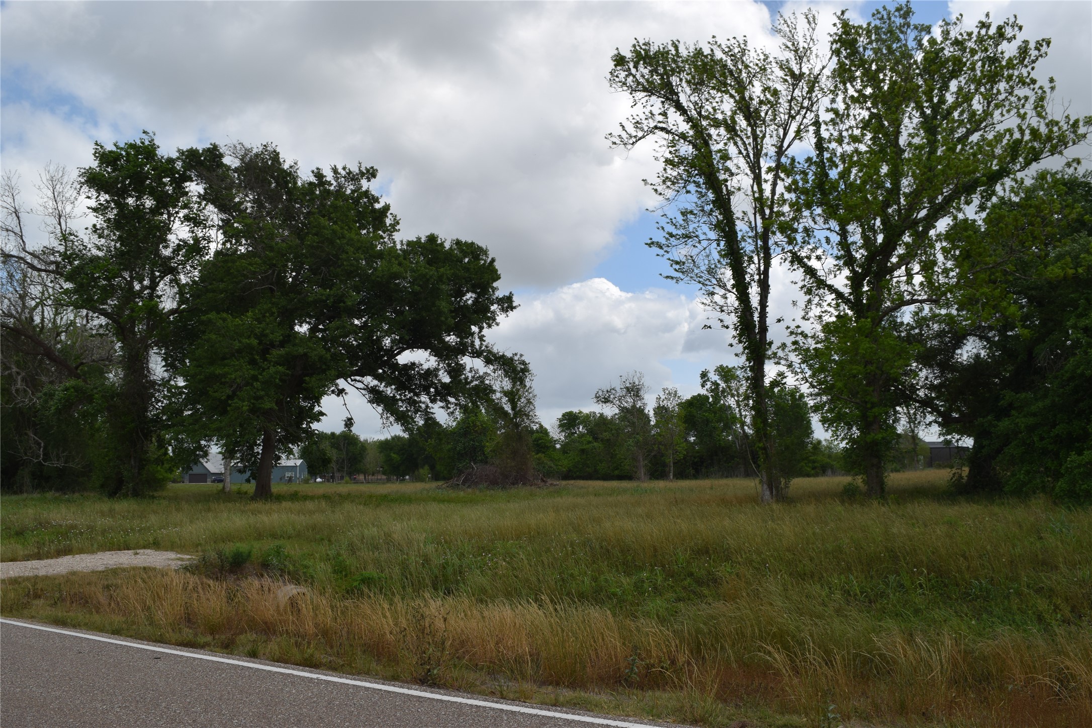 22819 Pittman Drive Angleton, TX 77515 - Photo 10 of 13 a view of a park