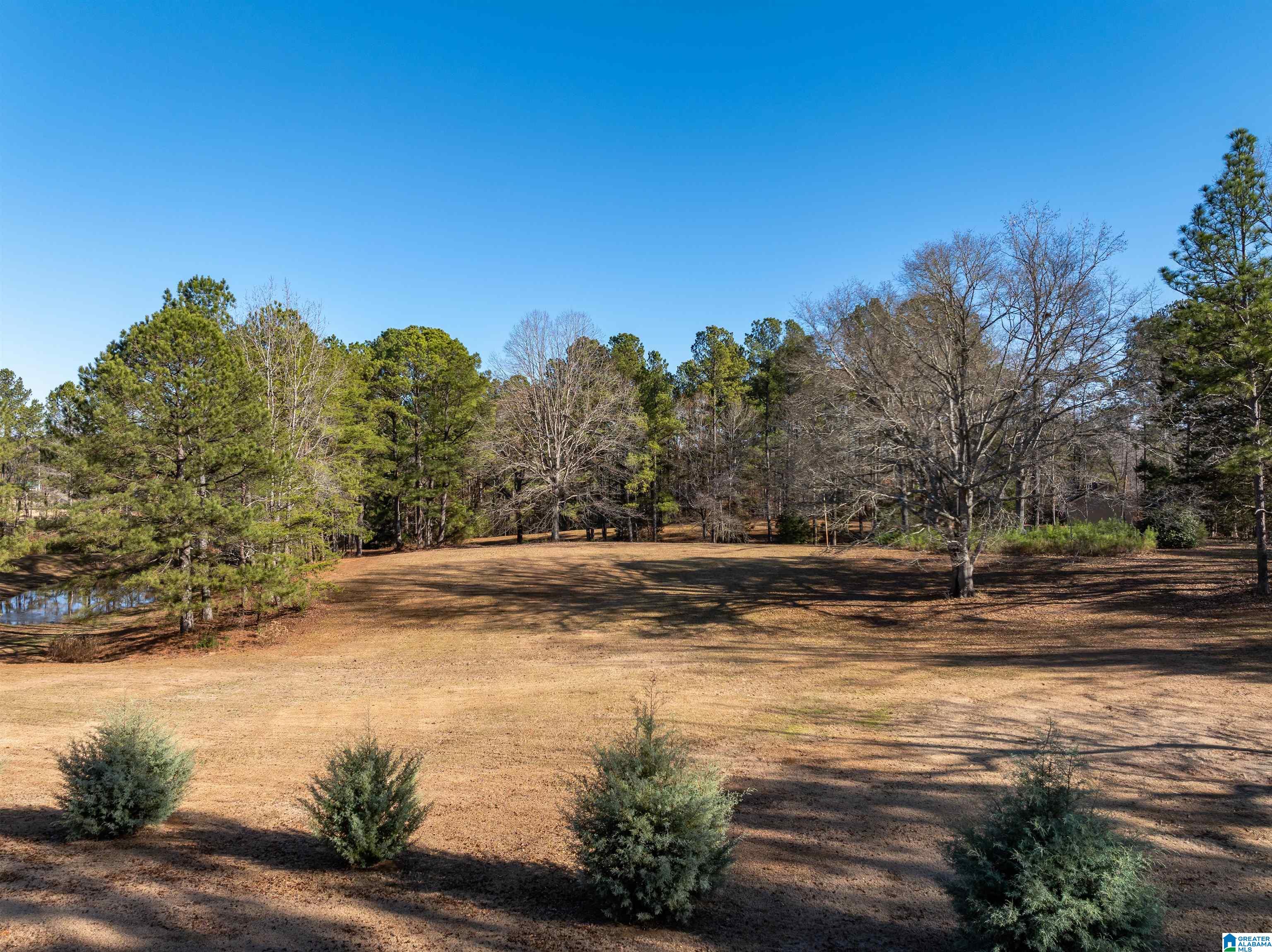 3342 County Road 39 Chelsea, AL 35043 - Photo 53 of 63