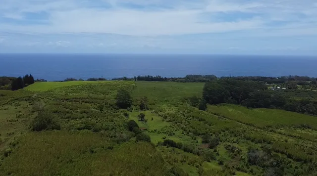 $1,298,000 | 1-3 Lot 1-3 Private Road, Laupahoehoe, HI 96764