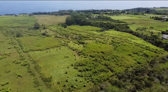 $1,298,000 | 1-3 Lot 1-3 Private Road, Laupahoehoe, HI 96764