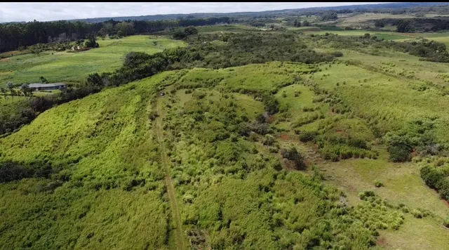 $1,298,000 | 1-3 Lot 1-3 Private Road, Laupahoehoe, HI 96764