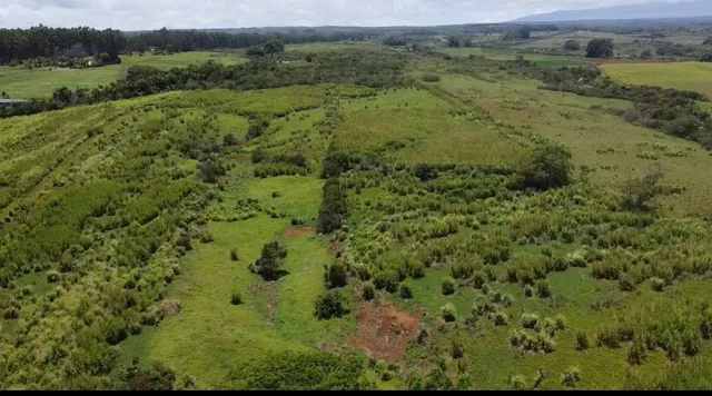$1,298,000 | 1-3 Lot 1-3 Private Road, Laupahoehoe, HI 96764