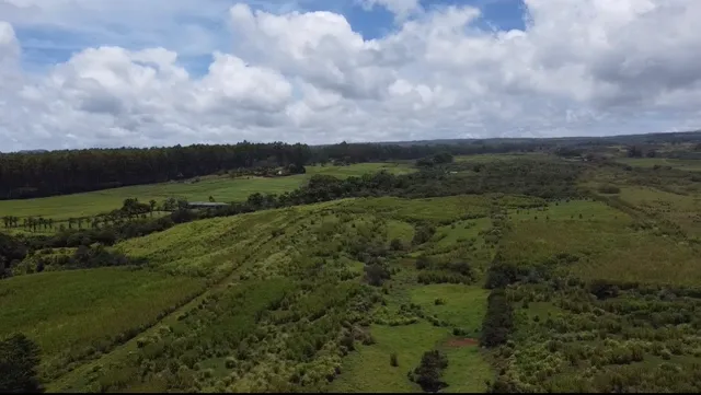 $1,298,000 | 1-3 Lot 1-3 Private Road, Laupahoehoe, HI 96764