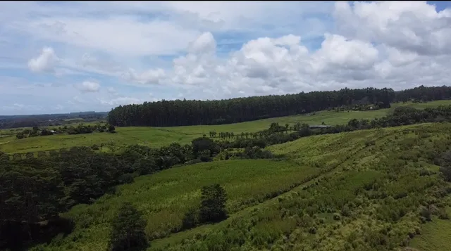 $1,298,000 | 1-3 Lot 1-3 Private Road, Laupahoehoe, HI 96764