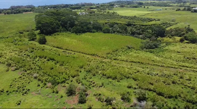 $1,298,000 | 1-3 Lot 1-3 Private Road, Laupahoehoe, HI 96764