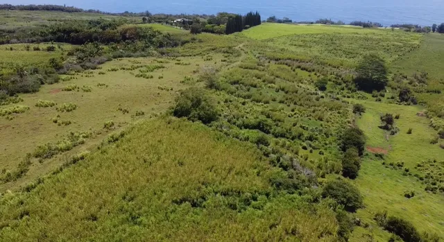 $1,298,000 | 1-3 Lot 1-3 Private Road, Laupahoehoe, HI 96764