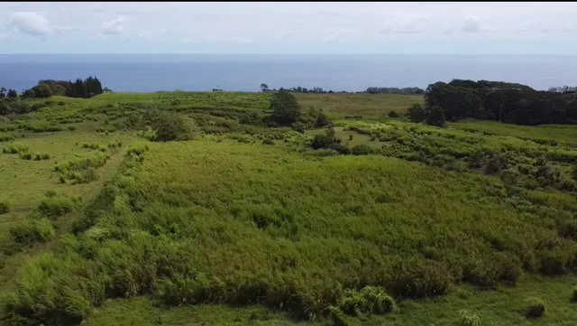 $1,298,000 | 1-3 Lot 1-3 Private Road, Laupahoehoe, HI 96764