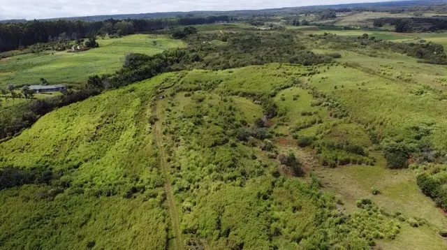 $1,298,000 | 1-3 Lot 1-3 Private Road, Laupahoehoe, HI 96764