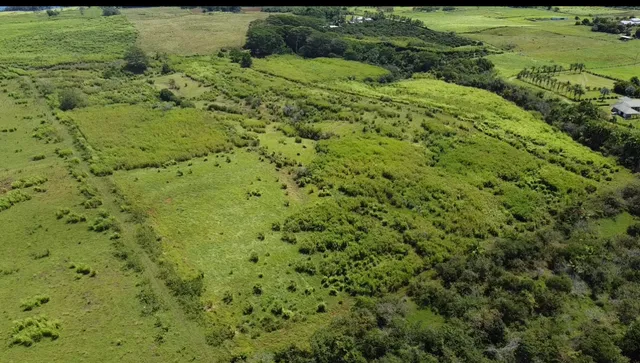 $1,298,000 | 1-3 Lot 1-3 Private Road, Laupahoehoe, HI 96764