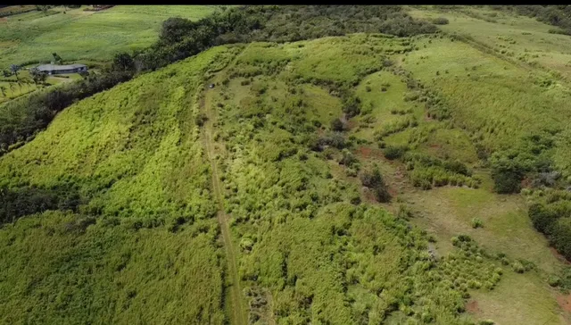 $1,298,000 | 1-3 Lot 1-3 Private Road, Laupahoehoe, HI 96764