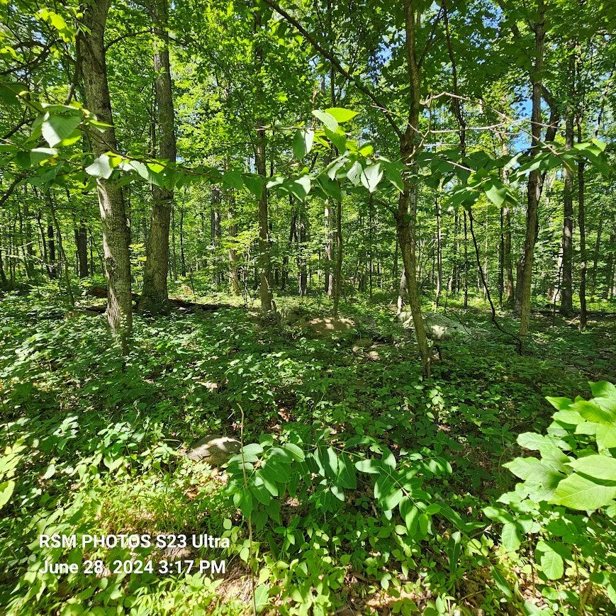 5431-35 Book Road Robertsdale, PA 16674 - Photo 15 of 23 Gallery Image 15