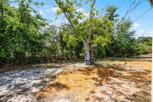 a view of a yard with plants and trees