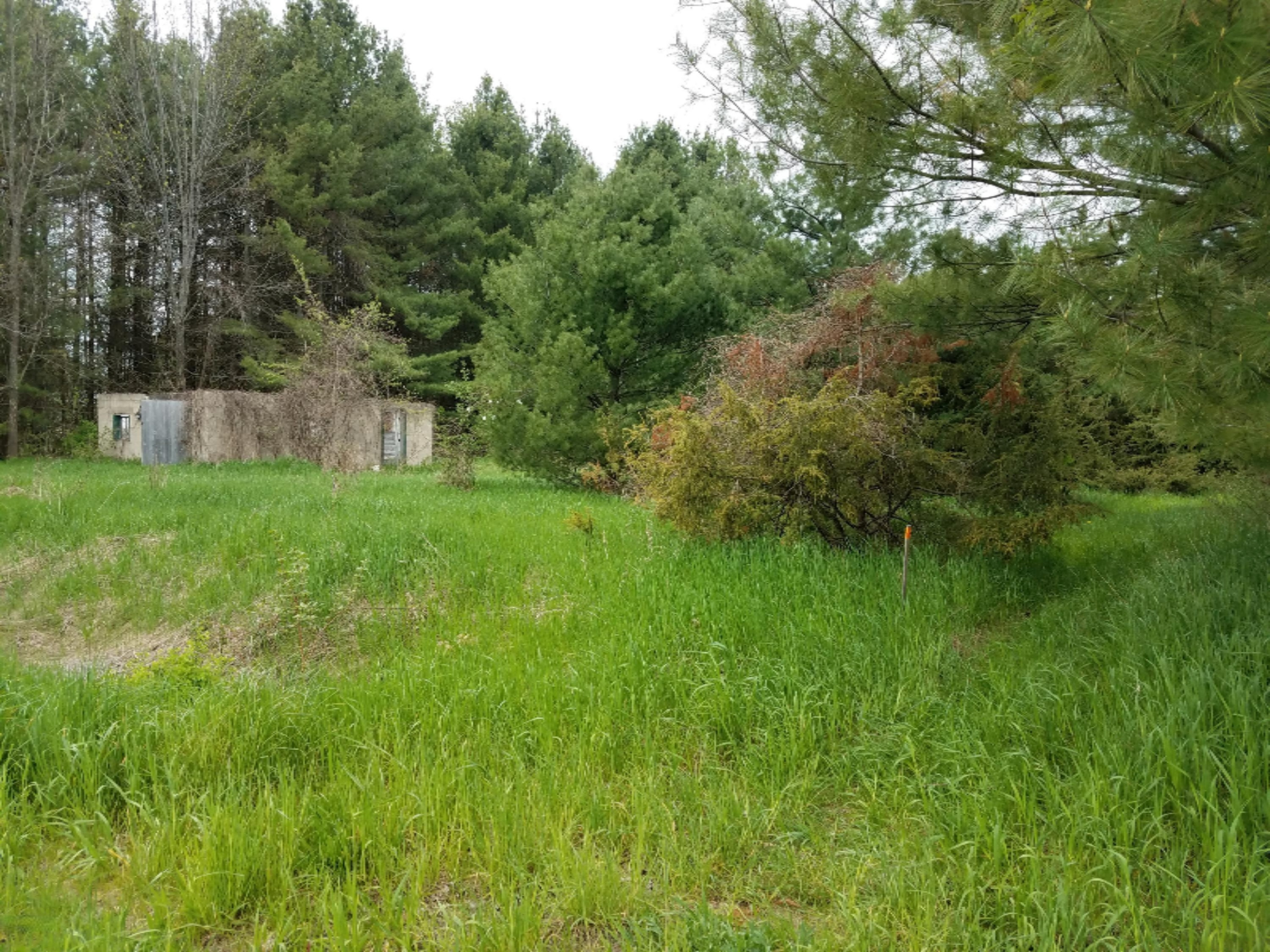 10465 Ferry Road Charlevoix, MI 49720 - Photo 3 of 5 20170517_145407