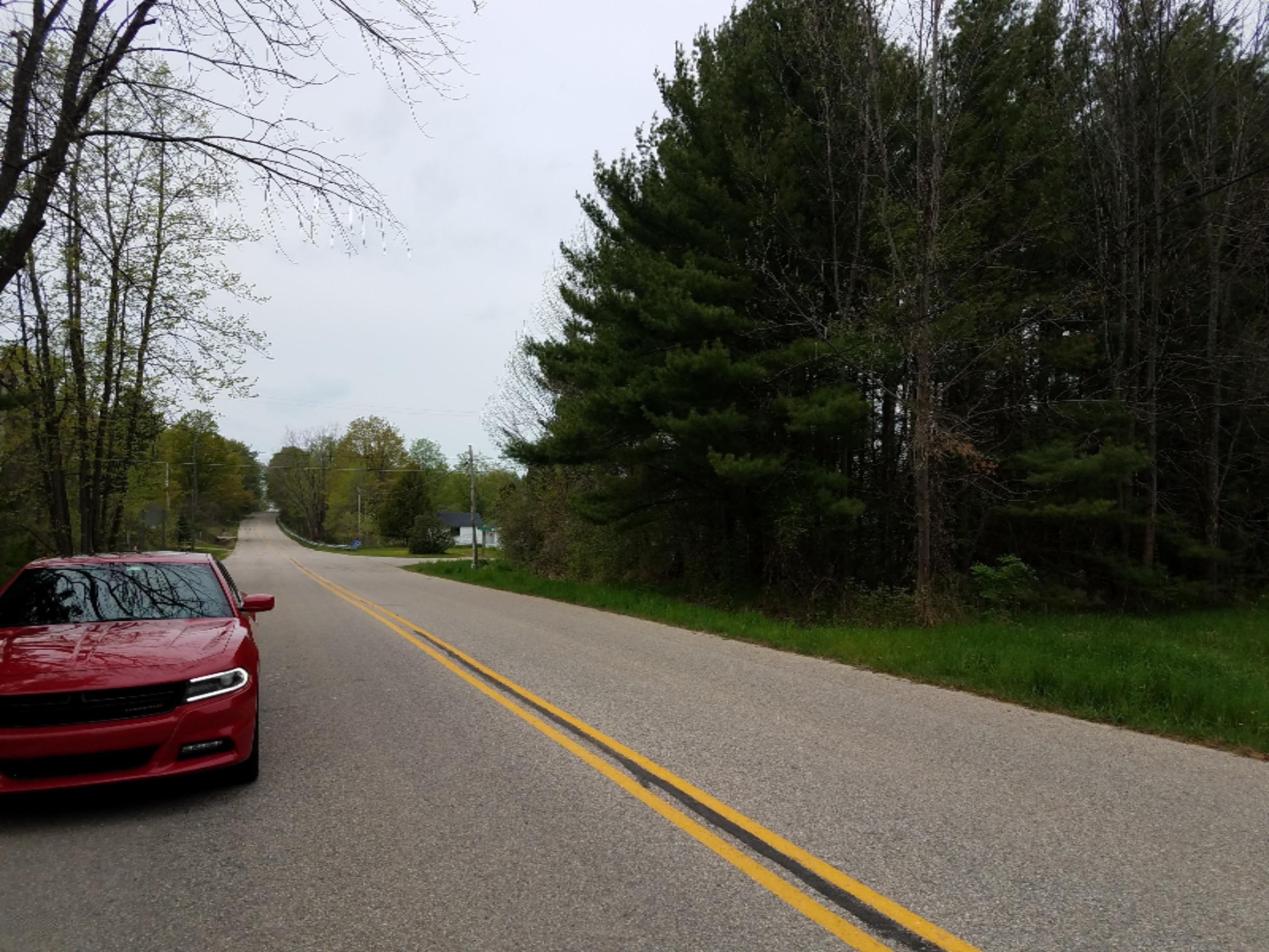 10465 Ferry Road Charlevoix, MI 49720 - Photo 5 of 5 20170517_145343