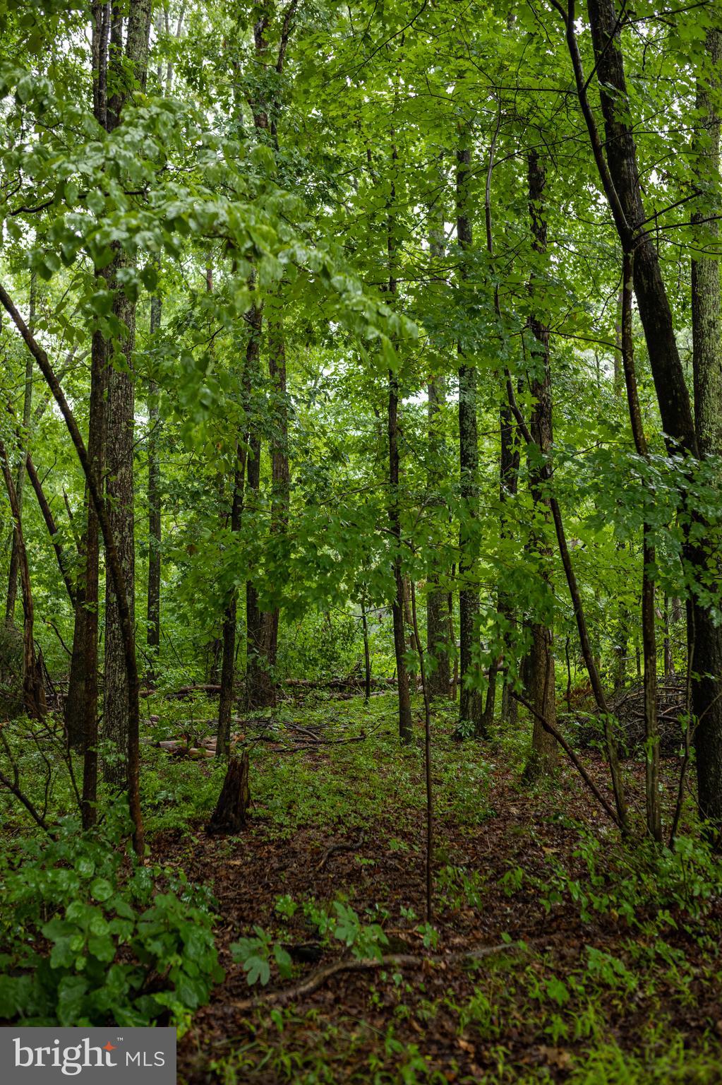 Grigsby Road Nokesville, VA 20181 - Photo 8 of 18 Gallery Image 8