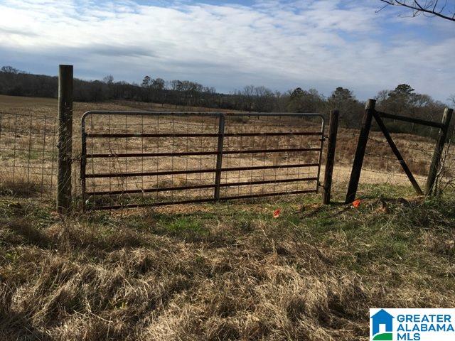 0 County Road 235, Unit 1 Alpine, AL 35014 - Photo 9 of 12