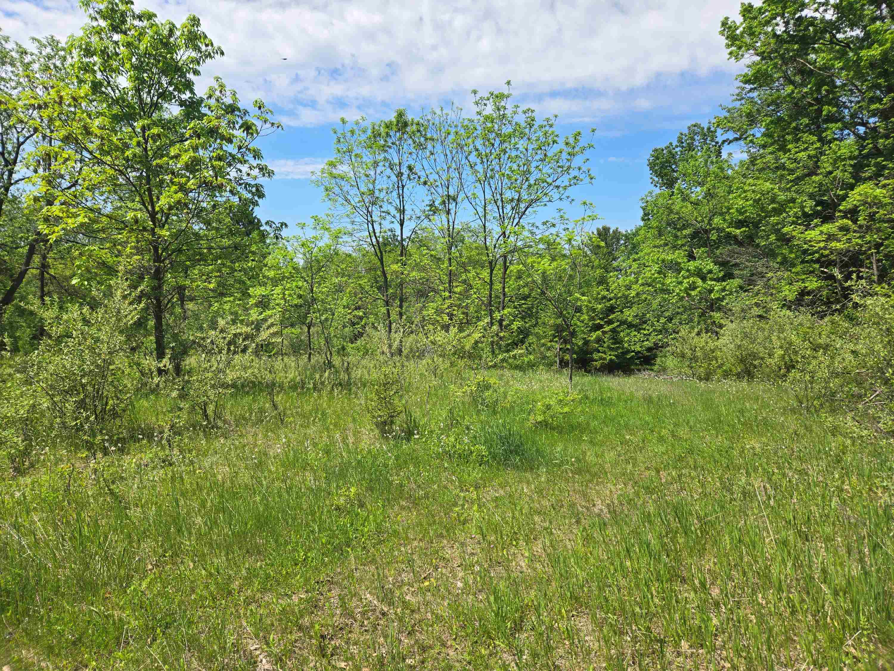 N6219 Sunnyside Road Green Lake, WI 54941 - Photo 49 of 58