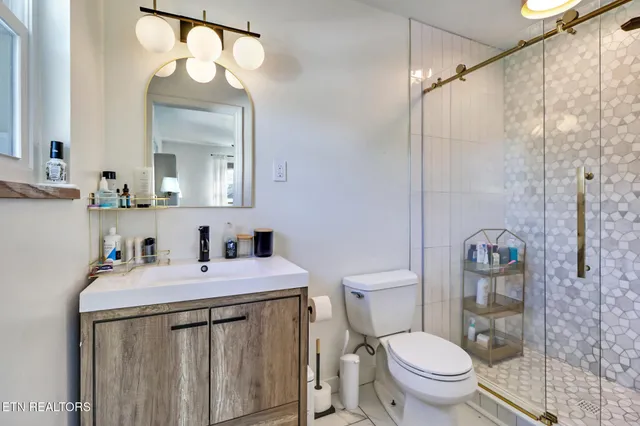 a bathroom with a sink a toilet a mirror and shower curtain