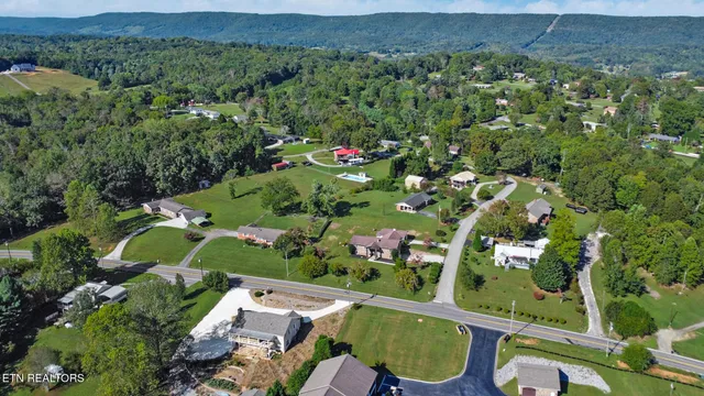 a view of a lake with a mountain