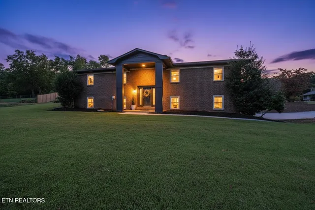a view of a yard in front of a house with plants and large tree