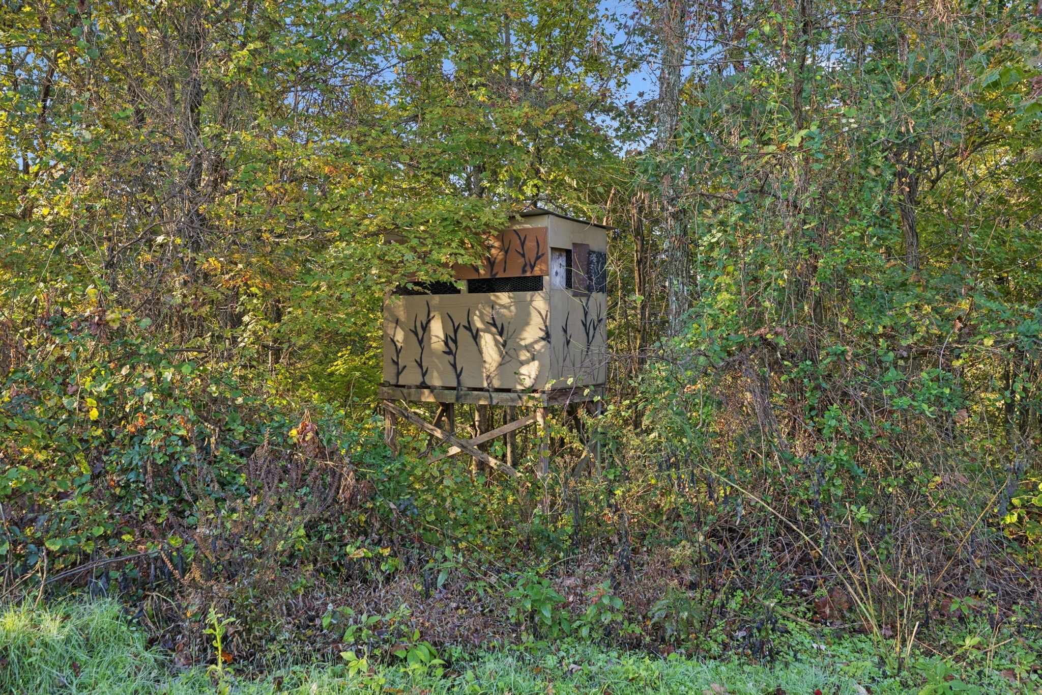 0 West Sheepneck Road Mount Pleasant, TN 38474 - Photo 12 of 43 a view of a forest with a tree