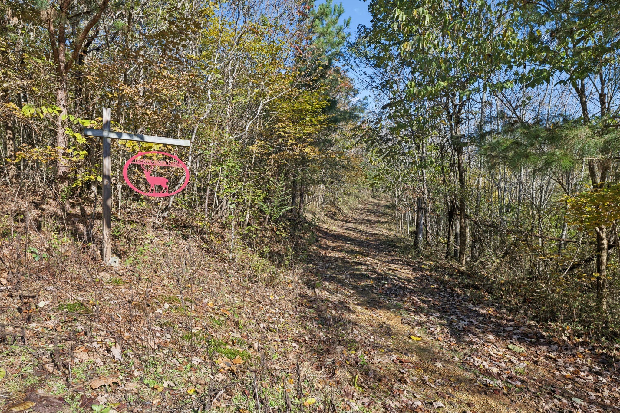 0 West Sheepneck Road Mount Pleasant, TN 38474 - Photo 13 of 43 a view of outdoor space and yard