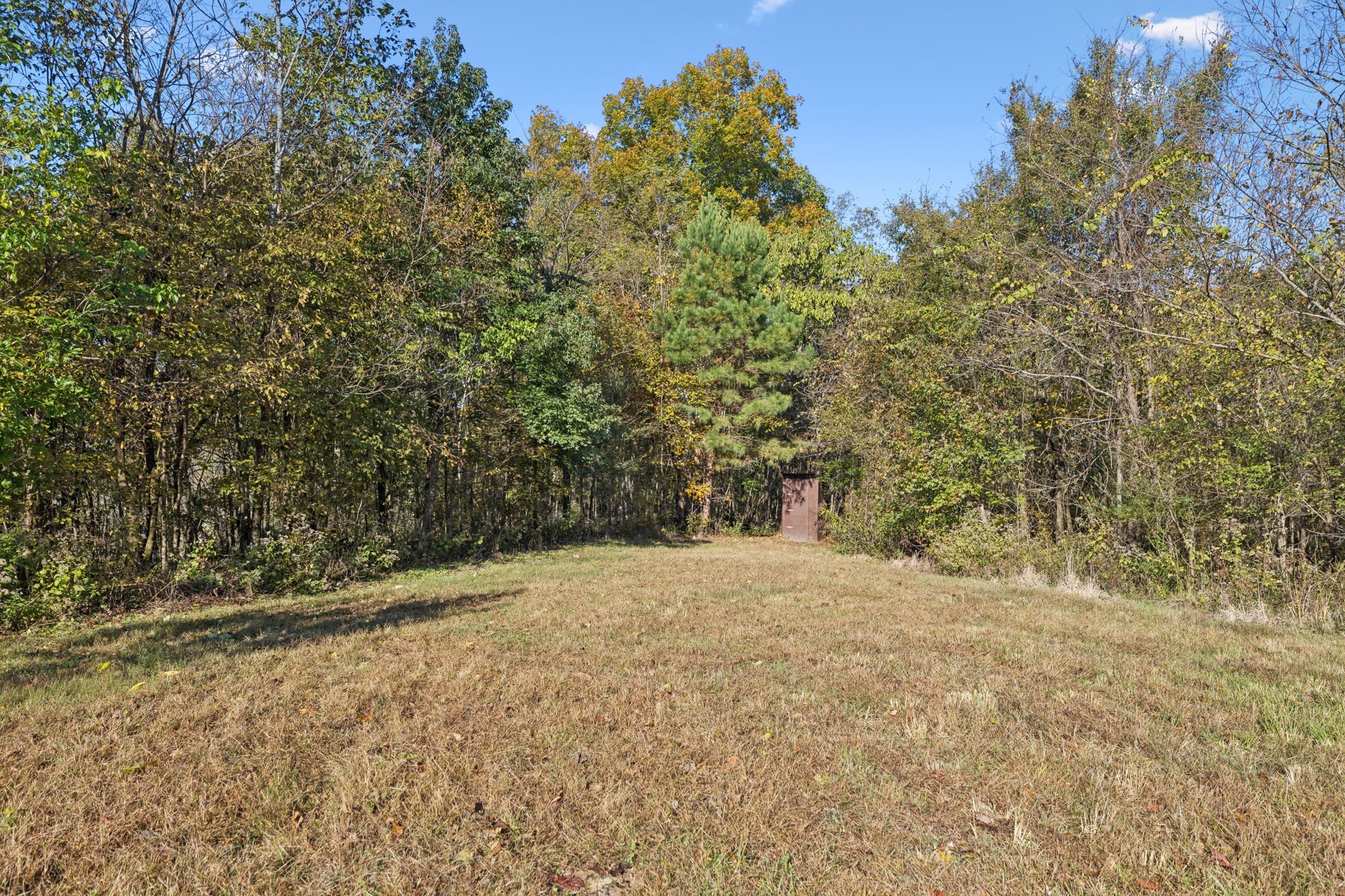 0 West Sheepneck Road Mount Pleasant, TN 38474 - Photo 15 of 43 a view of empty field with trees in the background