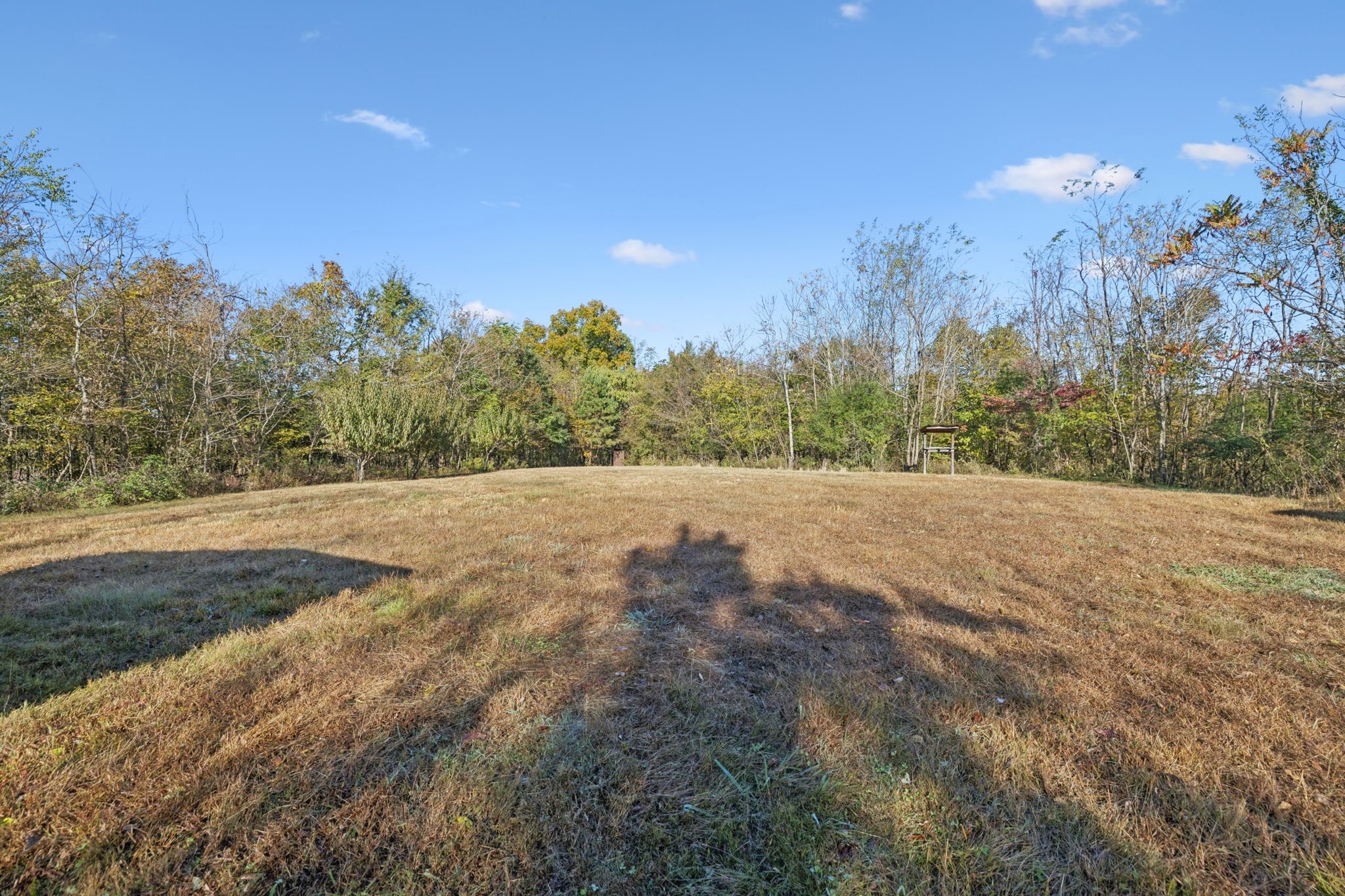 0 West Sheepneck Road Mount Pleasant, TN 38474 - Photo 19 of 43 a view of large trees with a yard