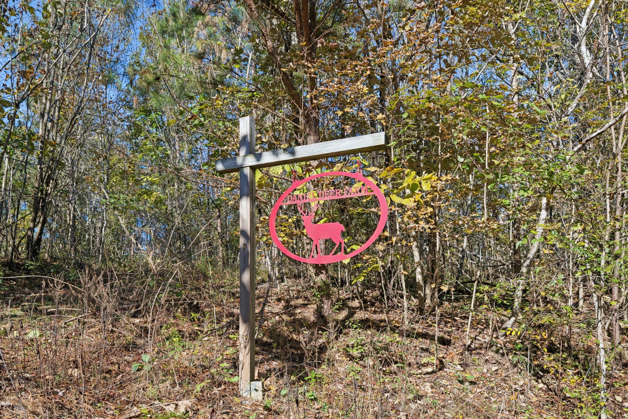 0 West Sheepneck Road Mount Pleasant, TN 38474 - Photo 2 of 43