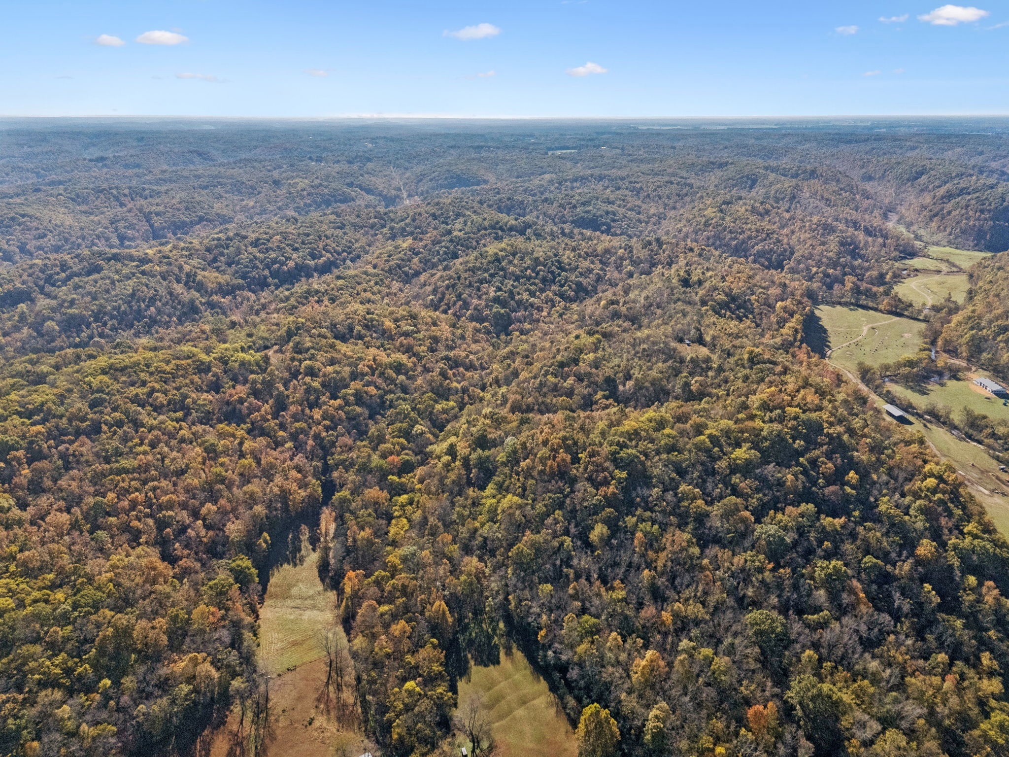 0 West Sheepneck Road Mount Pleasant, TN 38474 - Photo 21 of 43 an aerial view of house with yard and mountain view in back