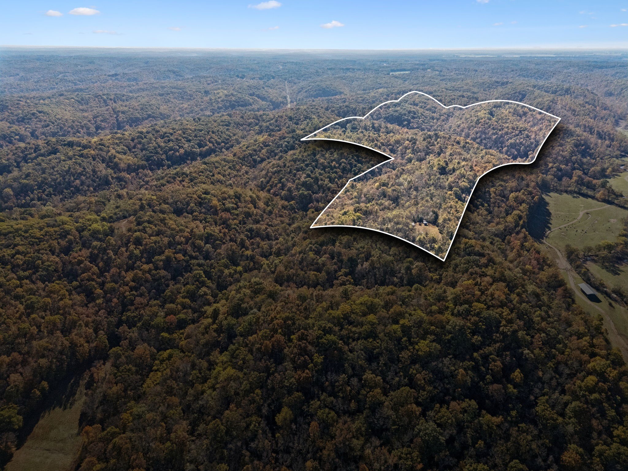 0 West Sheepneck Road Mount Pleasant, TN 38474 - Photo 22 of 43 an aerial view of residential house with outdoor space