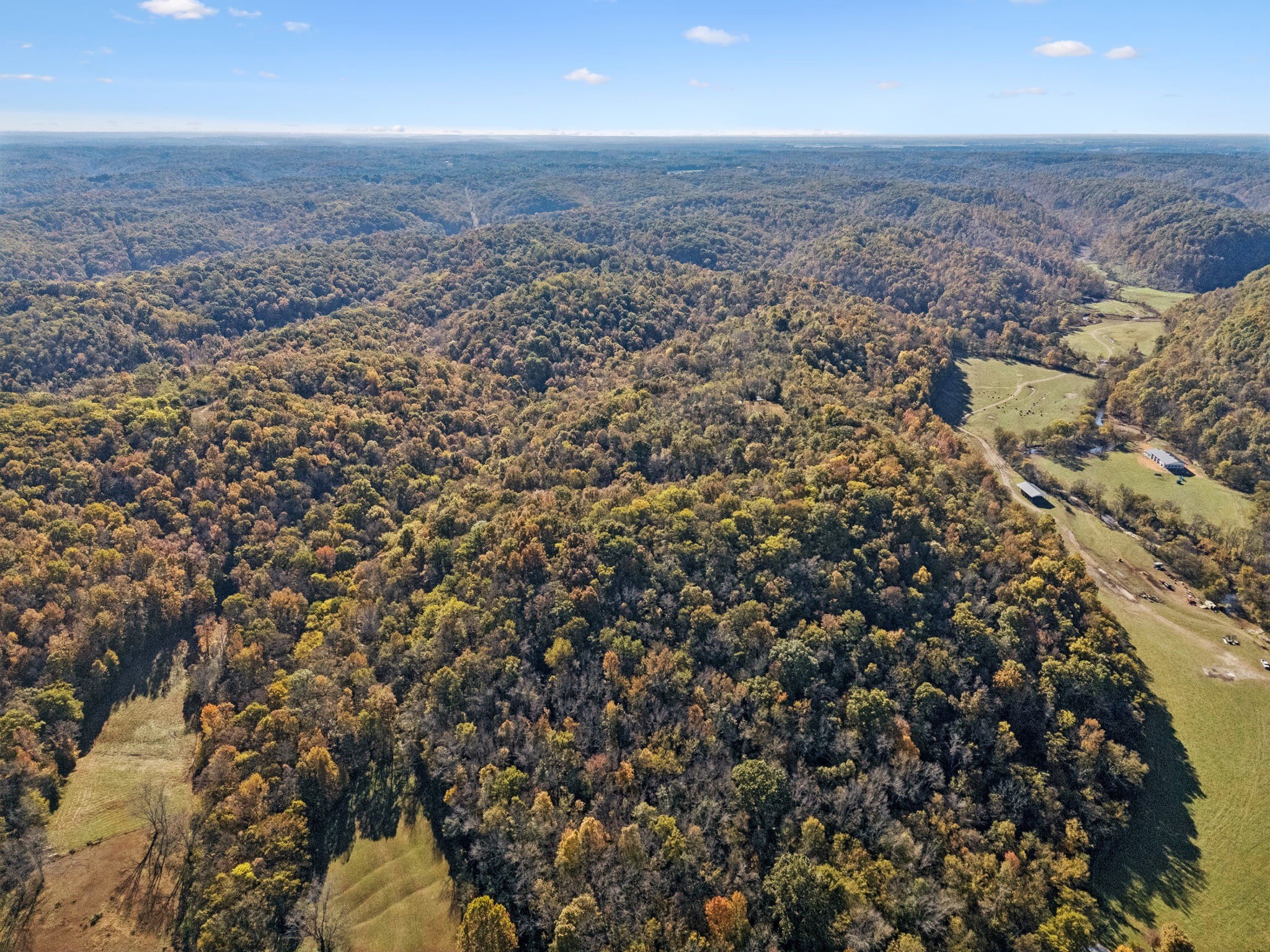 0 West Sheepneck Road Mount Pleasant, TN 38474 - Photo 25 of 43 an aerial view of house with yard and mountain in the background