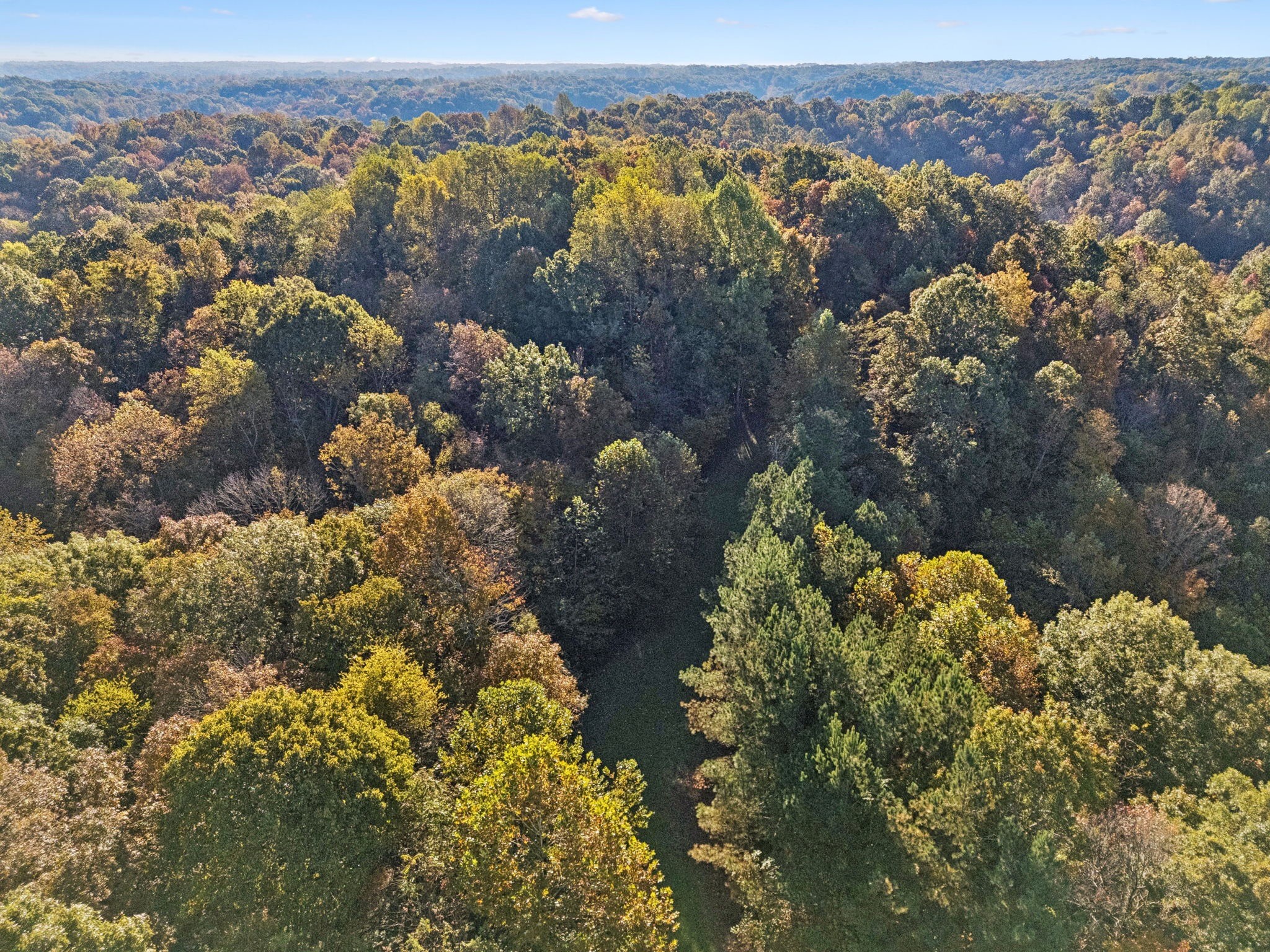 0 West Sheepneck Road Mount Pleasant, TN 38474 - Photo 29 of 43 a view of lake and mountain
