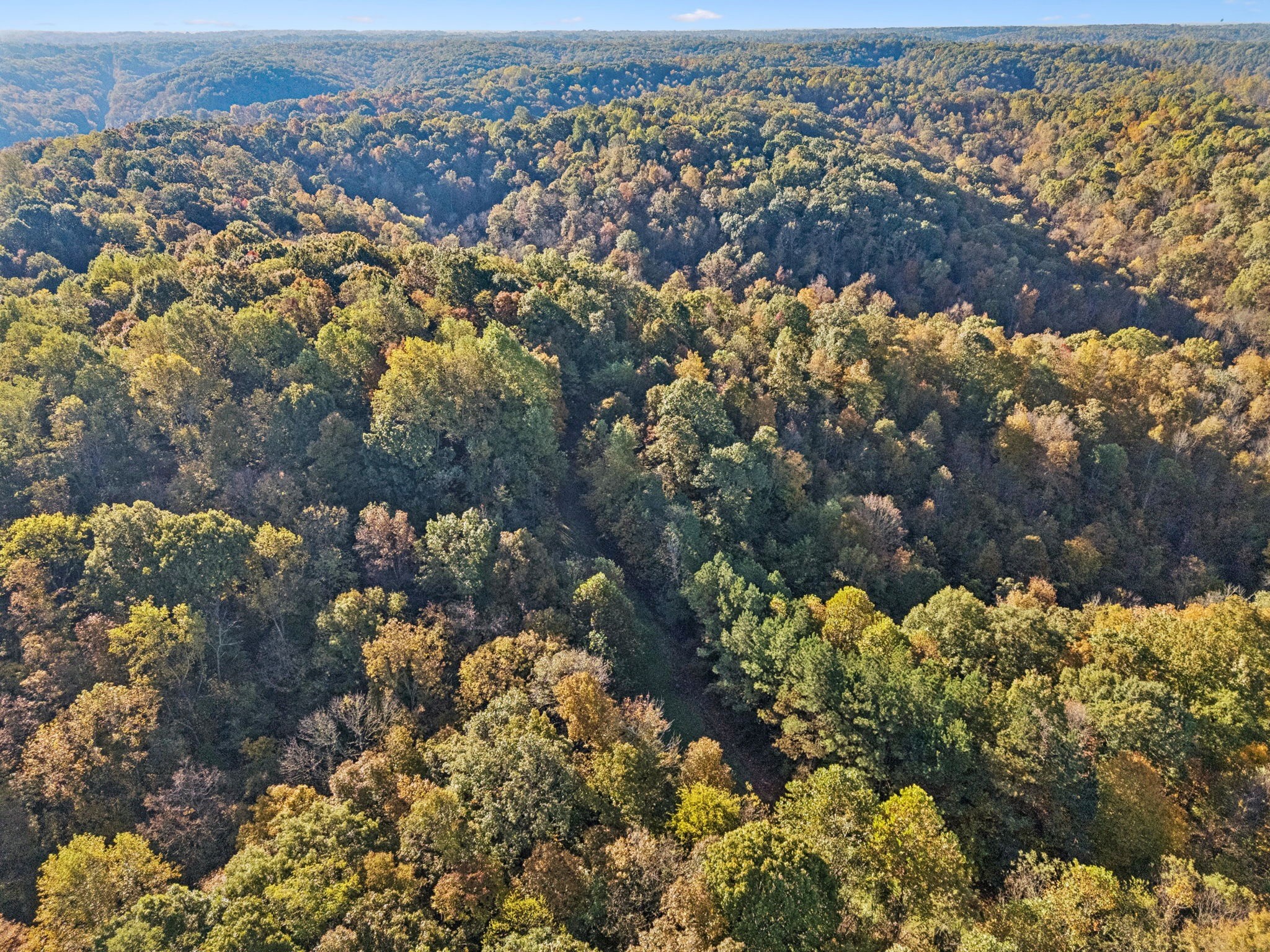 0 West Sheepneck Road Mount Pleasant, TN 38474 - Photo 30 of 43