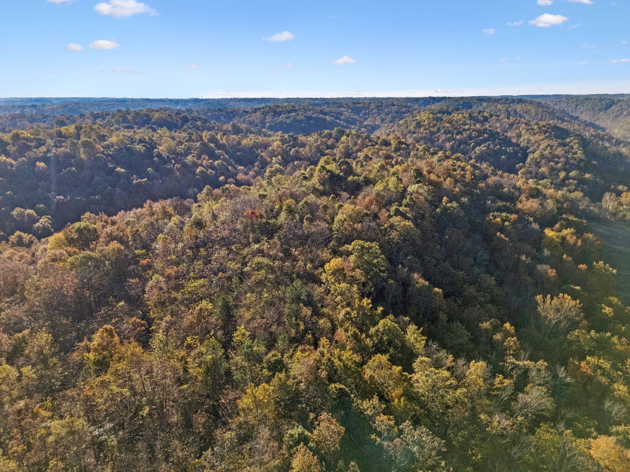 0 West Sheepneck Road Mount Pleasant, TN 38474 - Photo 31 of 43 an aerial view of house with yard and mountain in the background