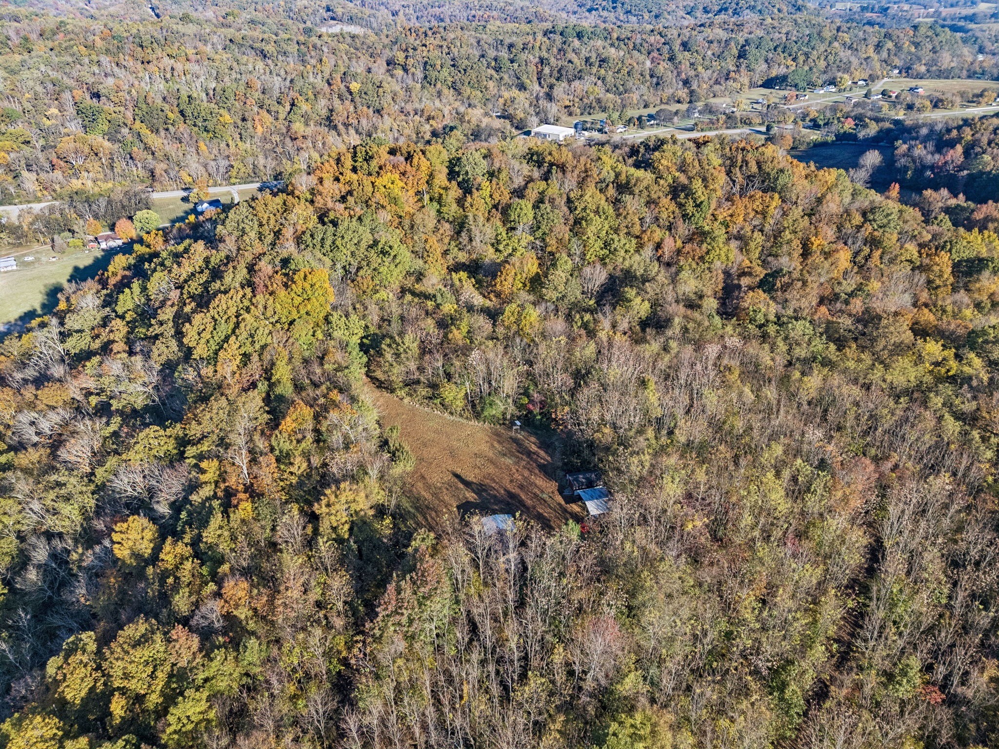 0 West Sheepneck Road Mount Pleasant, TN 38474 - Photo 32 of 43