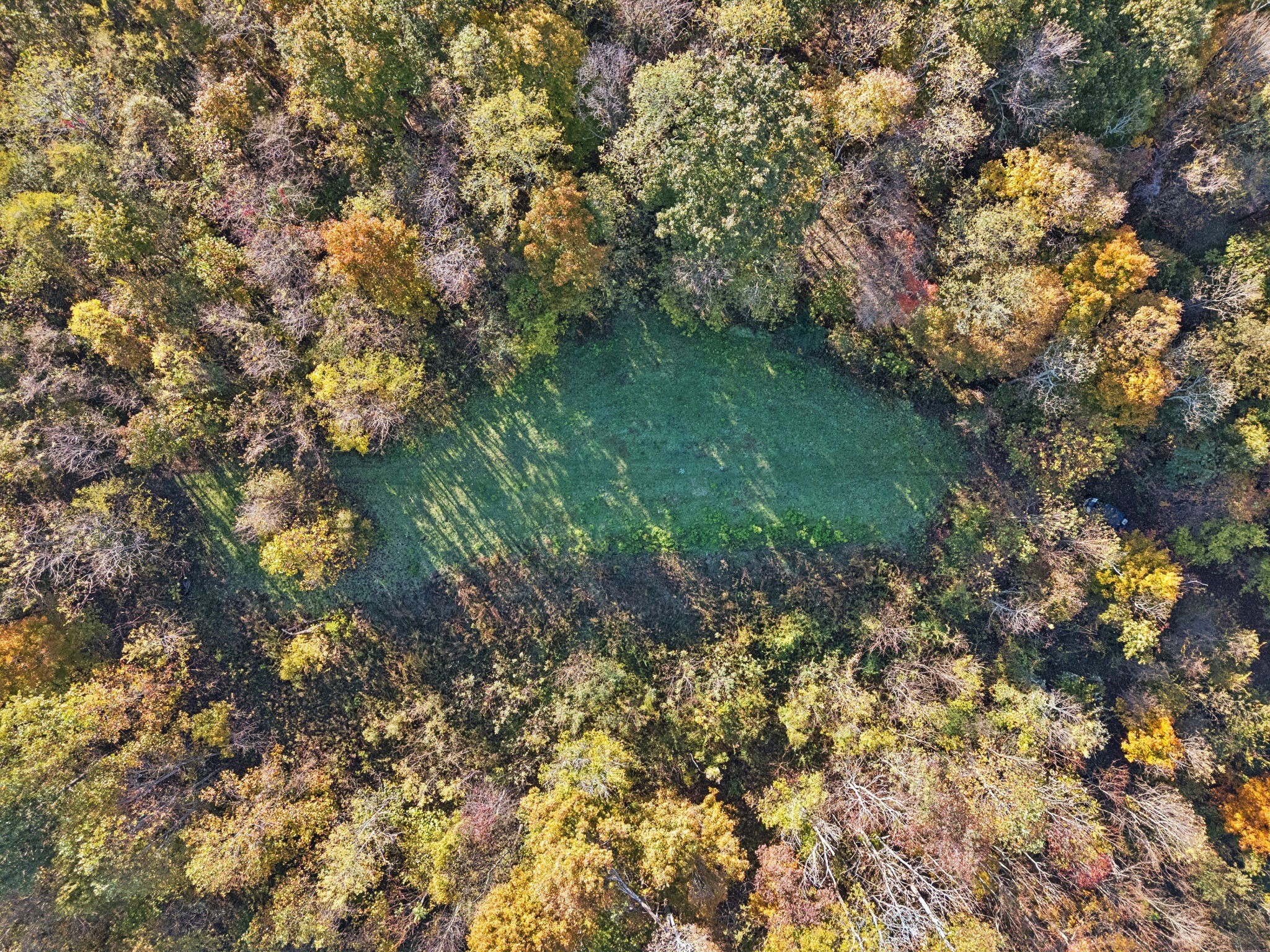 0 West Sheepneck Road Mount Pleasant, TN 38474 - Photo 34 of 43 a view of a yard