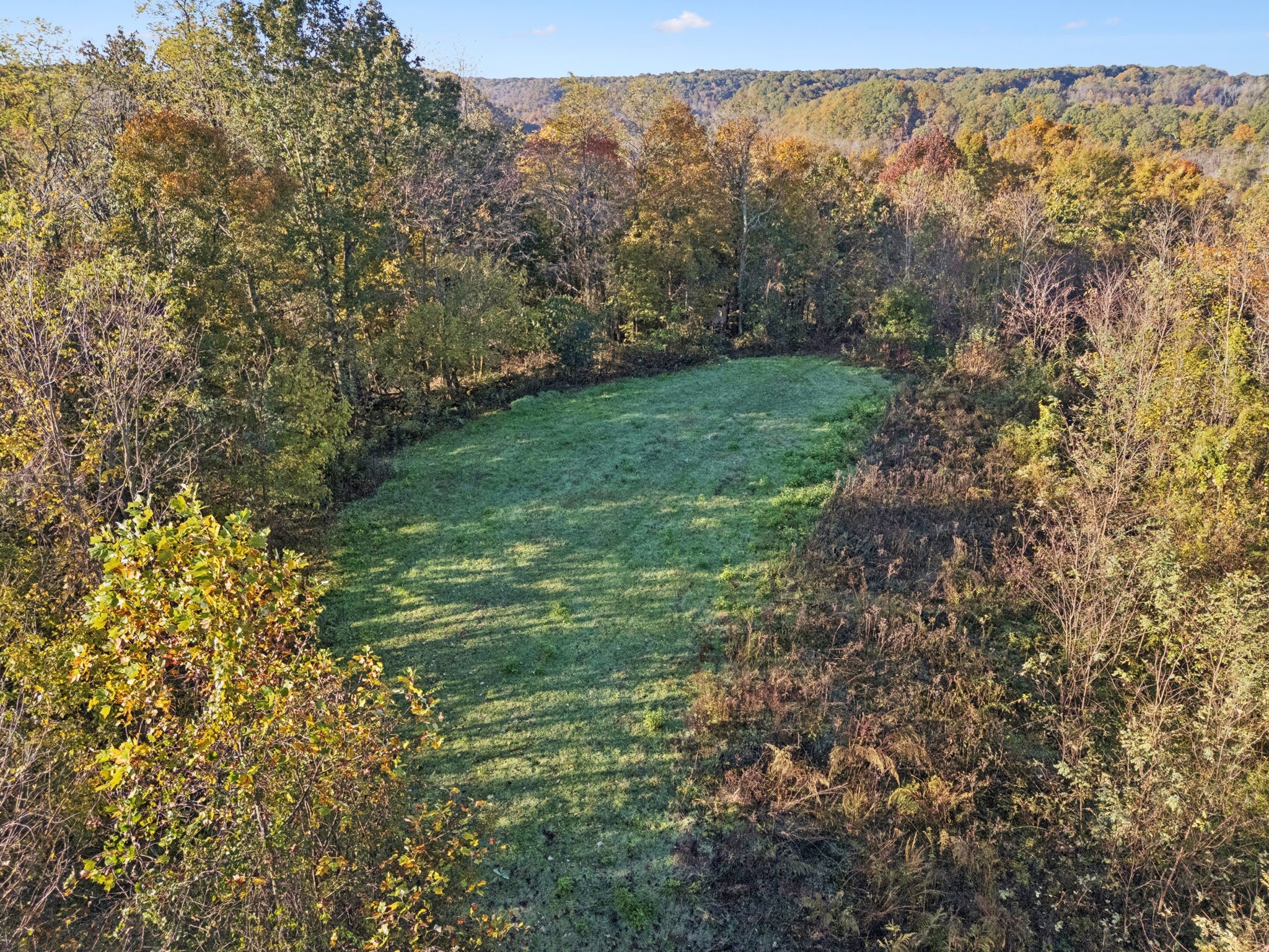 0 West Sheepneck Road Mount Pleasant, TN 38474 - Photo 35 of 43 a view of a yard with a tree