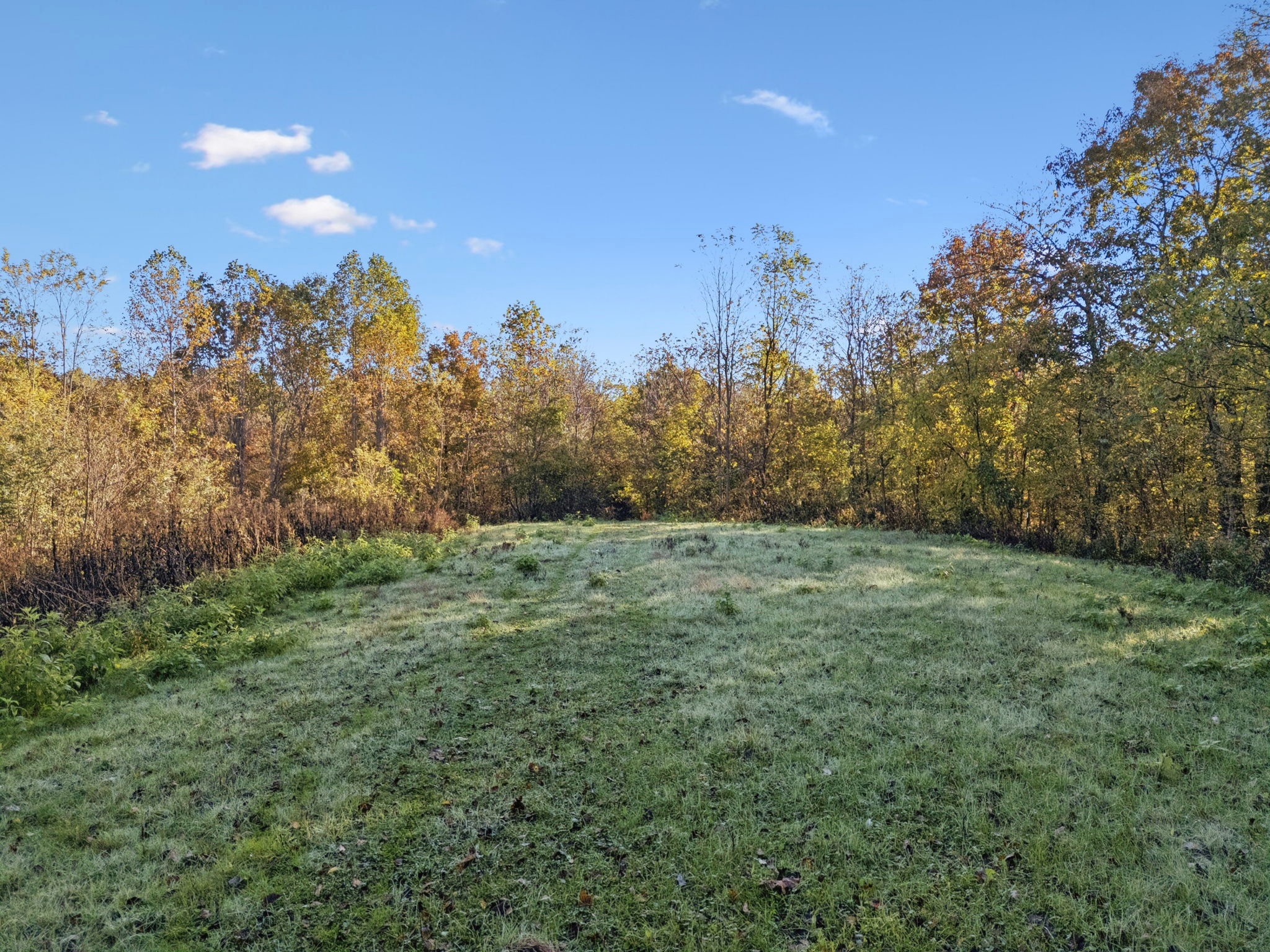 0 West Sheepneck Road Mount Pleasant, TN 38474 - Photo 36 of 43