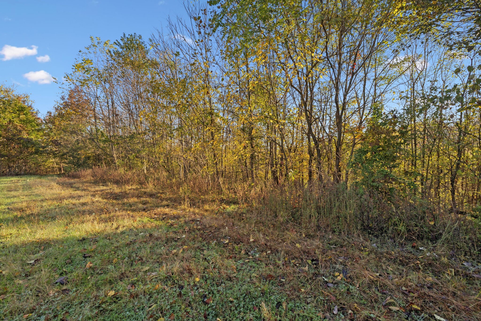 0 West Sheepneck Road Mount Pleasant, TN 38474 - Photo 42 of 43 a view of a space with trees in the background